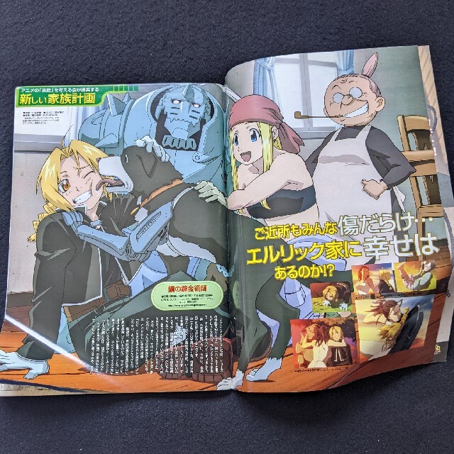 アニメディア 2004年6月号 犬夜叉 名探偵コナン ワンピース NARUTOの