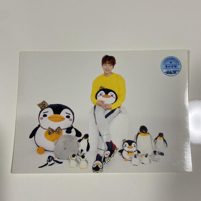 2PM JUNHO ジュノ『冬の少年』 トレカ 2点セットの通販 by MOMO's shop
