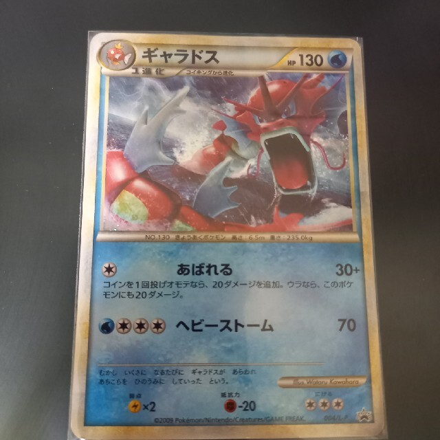 ポケットモンスター 銀 (Nintendo DS) 赤いギャラドス入り