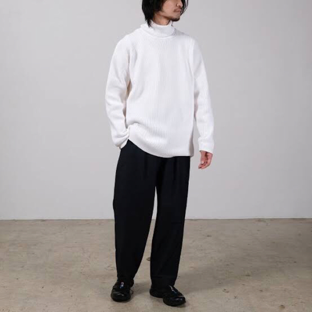 TEATORA - 【新品】テアトラ CARTRIDGE KNIT TURTLE 7G whiteの通販 by