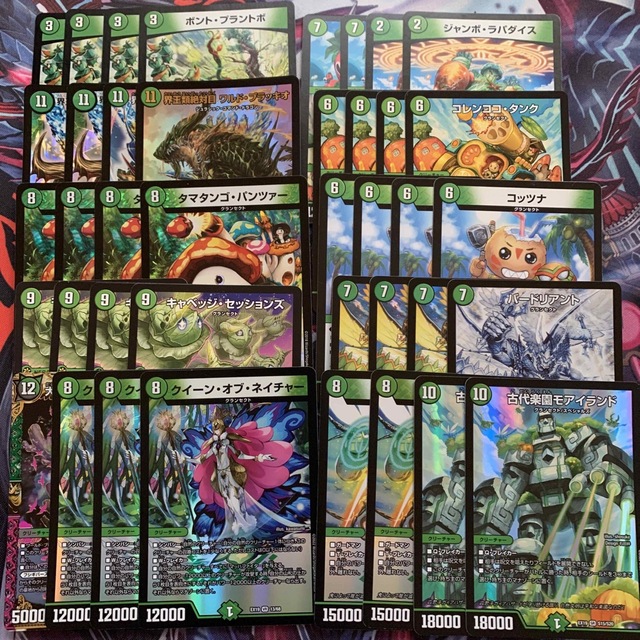 デュエマデッキ 緑単キャベッジ 自然単キャベッジ グランセクト 緑単