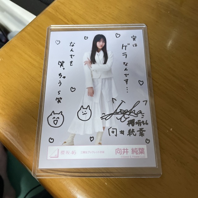 激レア向井純葉 三期生ブックレット衣装 櫻坂46三期生ブックレット衣装