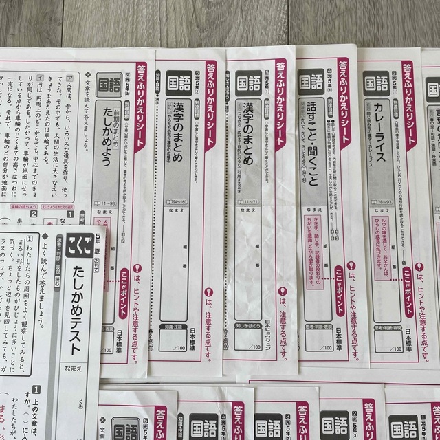 小学5年 カラーテスト 答え 日本標準の通販 by ofumi's shop｜ラクマ