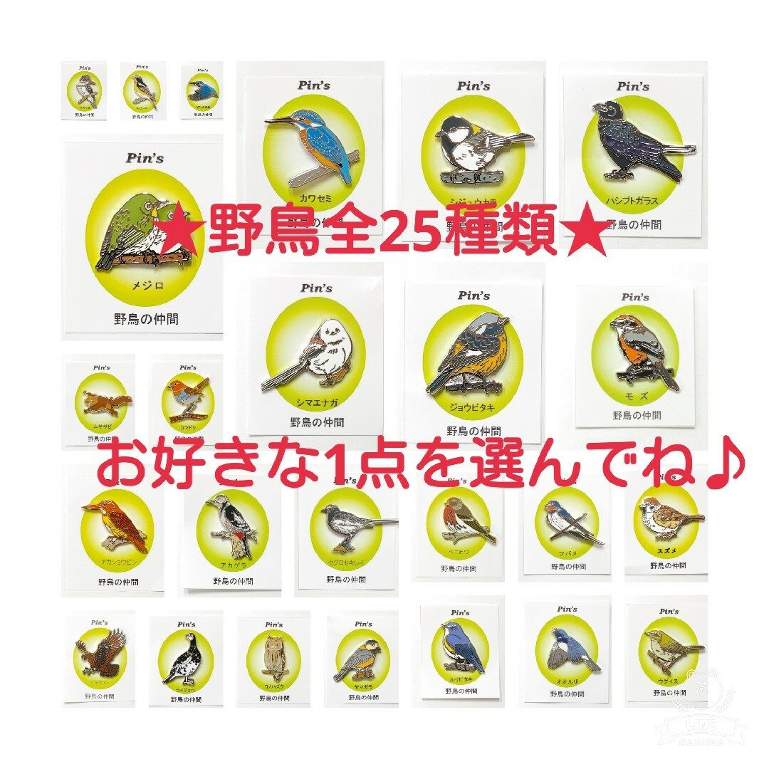 野鳥 ピンバッジ 全25種類 お好きな1点を選んで下さい！の通販 by