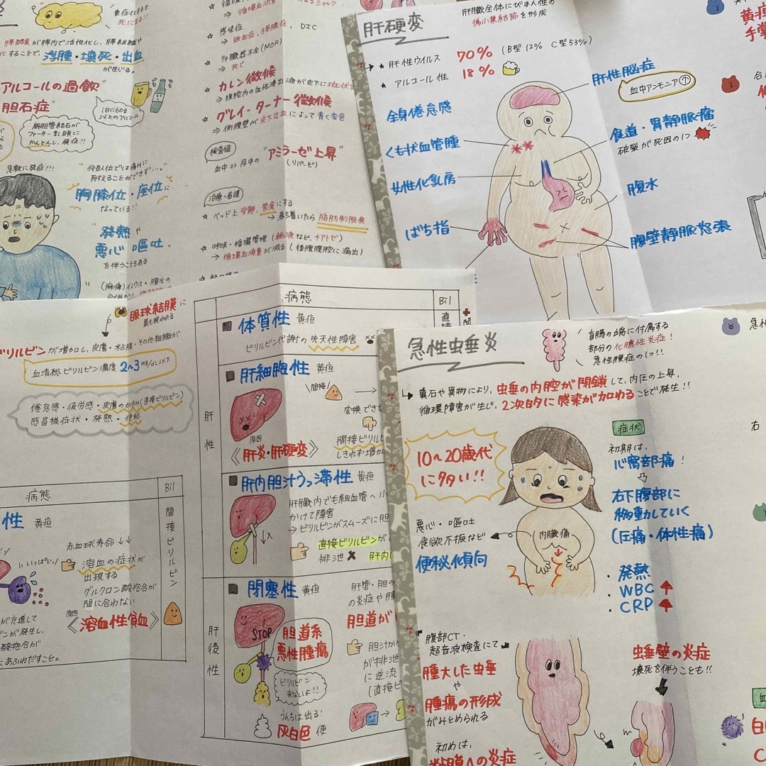 看護師国家試験対策【4点セット！】これで合格！お得セット！看護学生