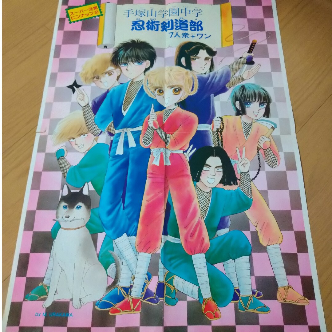 集英社 - 星の瞳のシルエット 柊あおい りぼん付録 全プレ缶バッジ