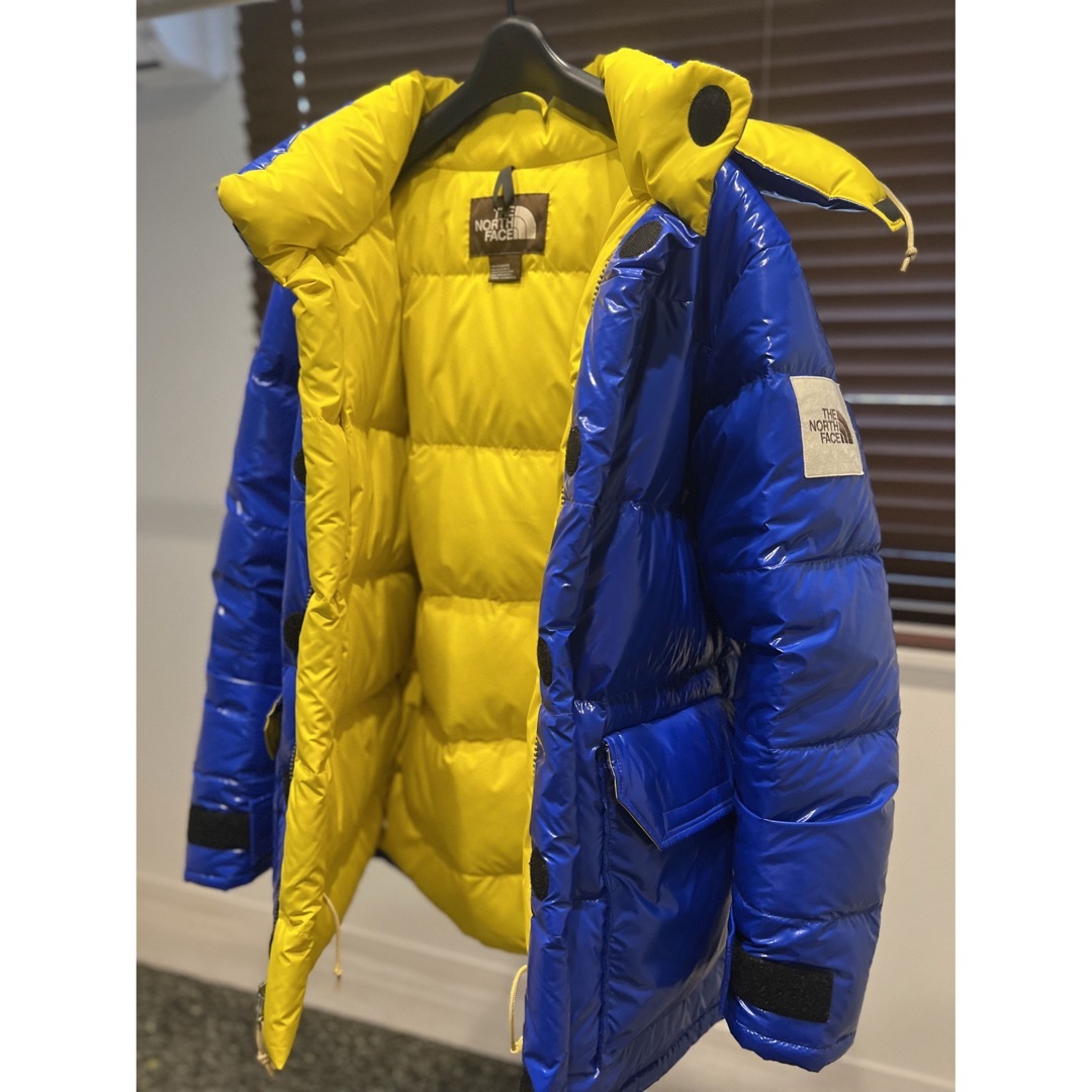 THE NORTH FACE - ノースフェイス 最高級グースダウンジャケット Lの
