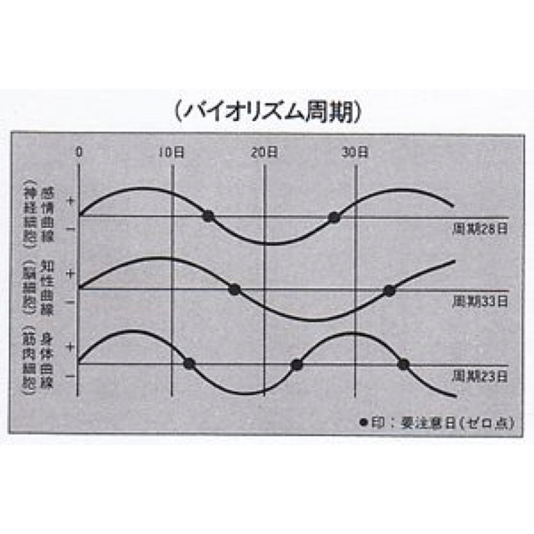 入手困難！残り1個！】政木式 バイオリズム計 工学博士 政木和三 占い