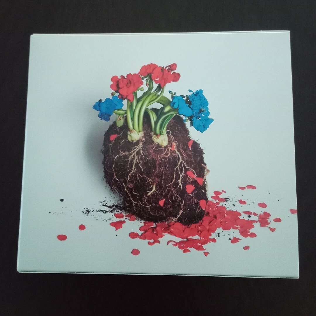 星野源/初回限定盤/DVD付き/シングル•アルバム CD/4枚セットの通販 by