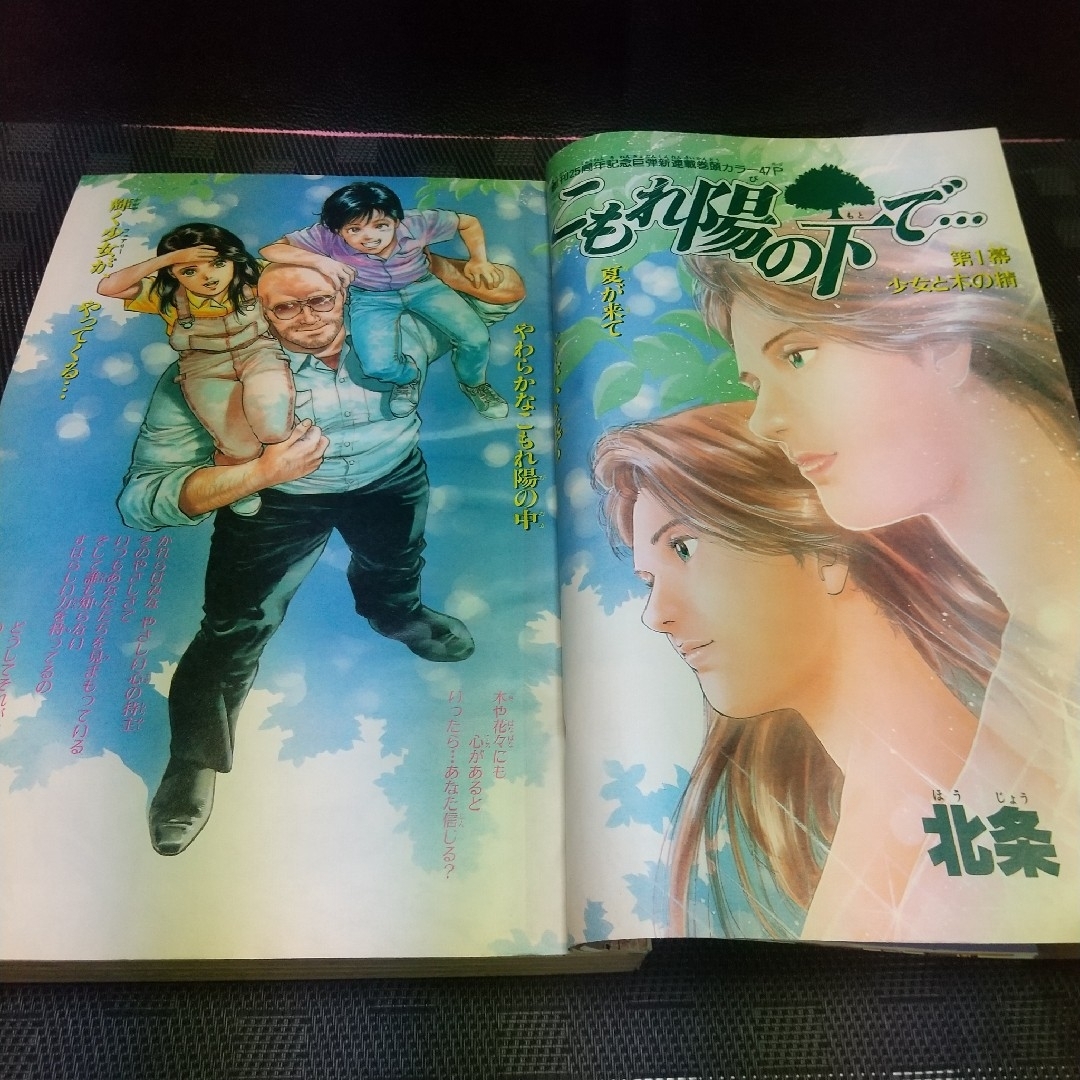 集英社 - 週刊少年ジャンプ1993年31号※こもれ陽の下で新連載