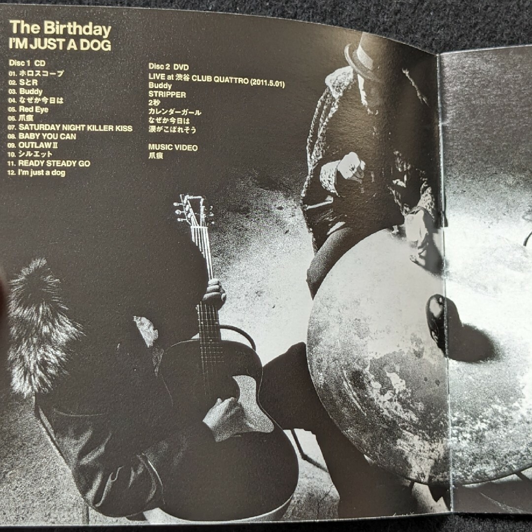 The Birthday 涙がこぼれそう DVD LIVE ライブ チバユウスケの通販 by