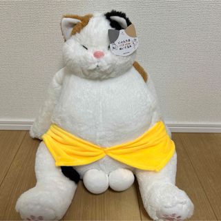 2360697663.jpg?1725111052