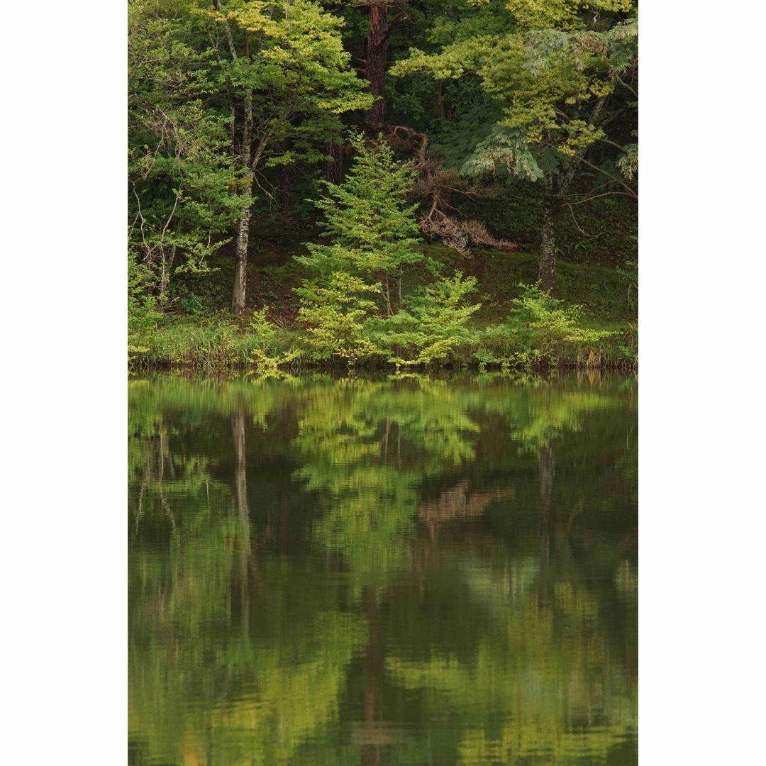 PENTAX - 作例付き PENTAX smc PENTAX67 300mmF4 管mprの通販 by けん