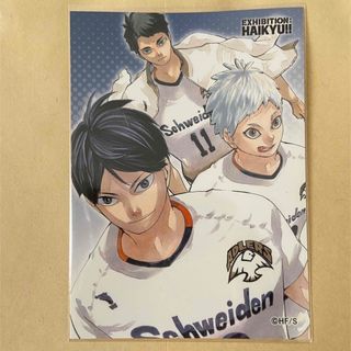 2377606109.jpg?1726705894