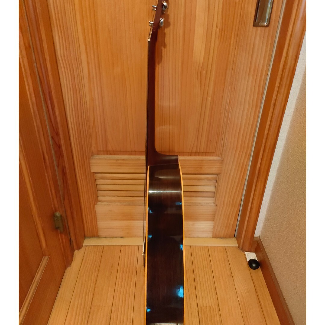 MORRIS - 1975年 モーリスW-20（エレアコ）の通販 by anan's shop