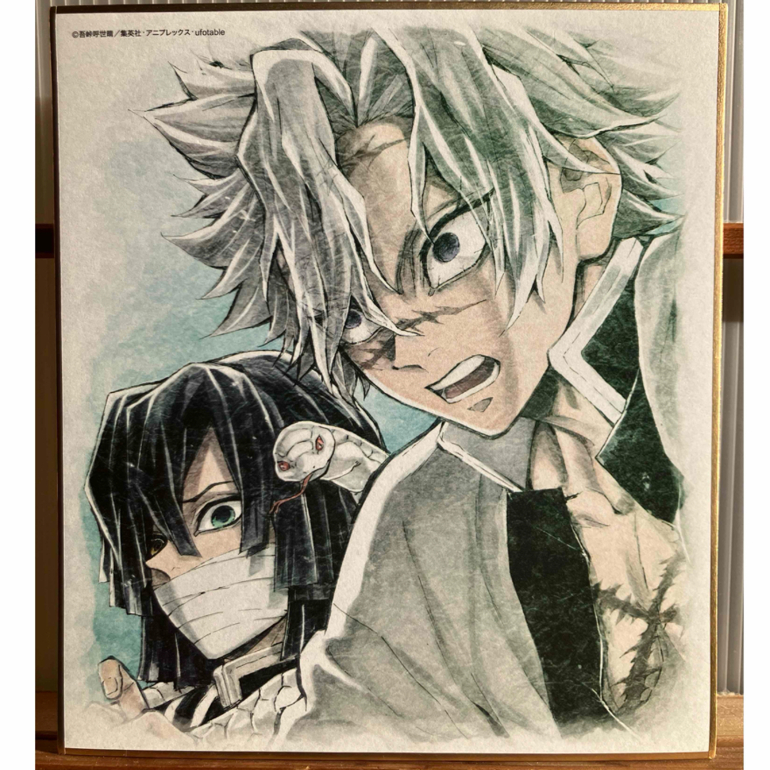 鬼滅の刃 不死川実弥 & 伊黒小芭内 ビジュアル色紙 コレクションの通販