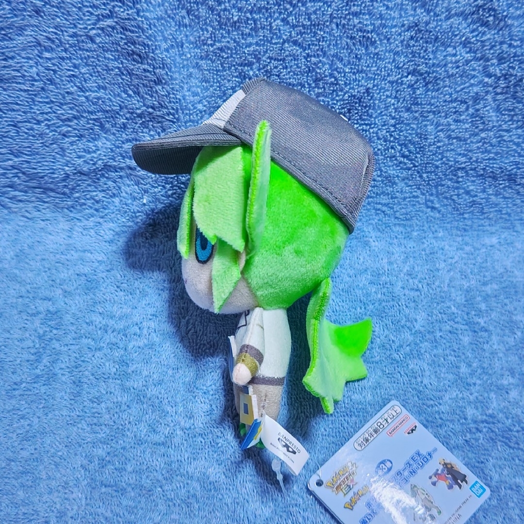 ポケモン - 『N』ポケモンマスターズ EX ぬいぐるみの通販 by ごえすん