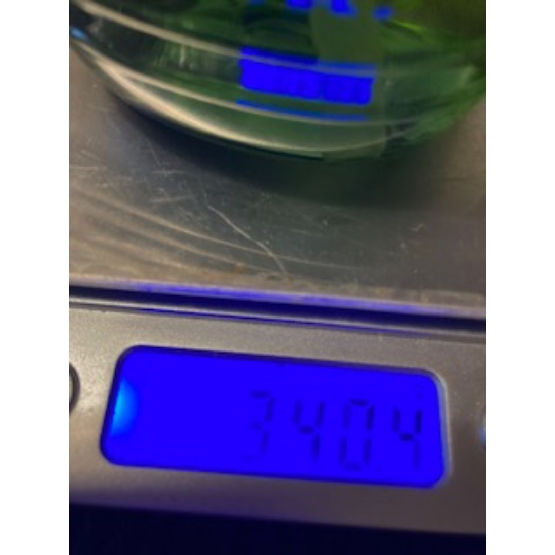 ☆NTH 未使用！！ プロテクトヘアシャンプー＆使用済詰め替え