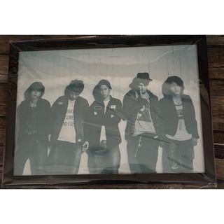 ONE OK ROCK - ONE OK ROCK THIS IS MY BUDOKAN 2010 DVDの通販 by