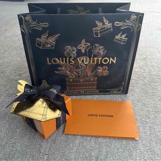 LOUIS VUITTON - ルイヴィトン 保存袋 LOUIS VUITTON バッグ 布袋の