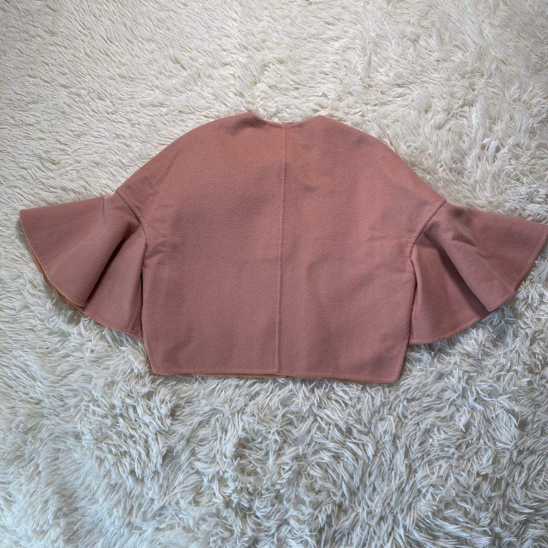 FENDI - 極美品 フェンディ ミンク×フォックスファーコサージュ ケープ