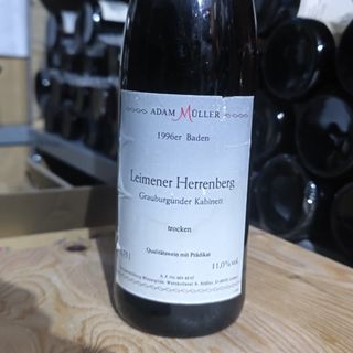 レーゲンスブルク ヴァイスのフリマアイテム一覧