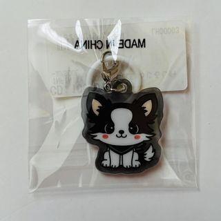 三代目 J Soul Brothers - 三代目 J SOUL BROTHERS ロゴクッション 今