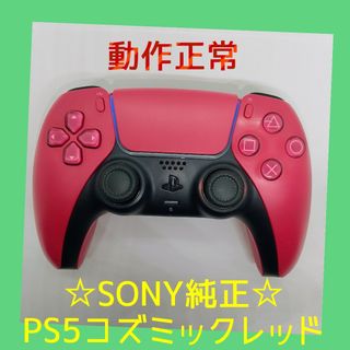 SONY - たっちー様専用 アイボ AIBO ロンロン パンダスーツ ERS-311 の