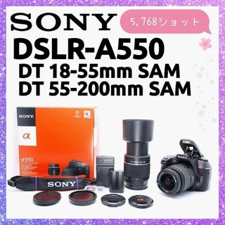 Nikon - 初心者応援完全セット Nikon D3100 スマホ転送 一眼レフ 小型