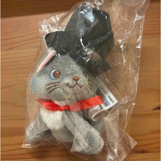 Disney - ☆ディズニーリゾート限定☆ 実写 イマジニングザマジック