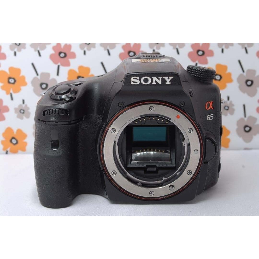 SONY - ❤SONY α65❤トリプルレンズ❤超望遠❤超高画質❤1秒10コマの