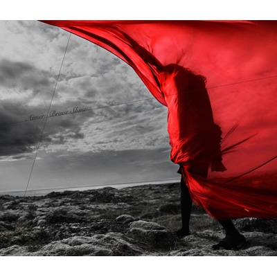Brave Shine 【初回生産限定盤】(CD+DVD) : Aimer | HMV&BOOKS online