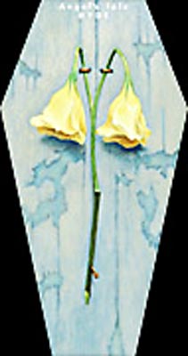 Angel's tale : HYDE | HMV&BOOKS online - KSDL-1224