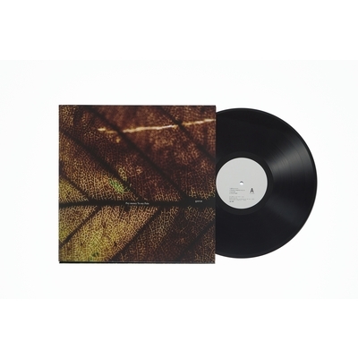 gene (2枚組/重量盤レコード) : Pay money To my Pain [P.T.P