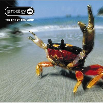Fat Of The Land : The Prodigy | HMV&BOOKS online - XLCD121