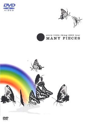 every little thing:2003tour MANY PIECES : Every Little Thing