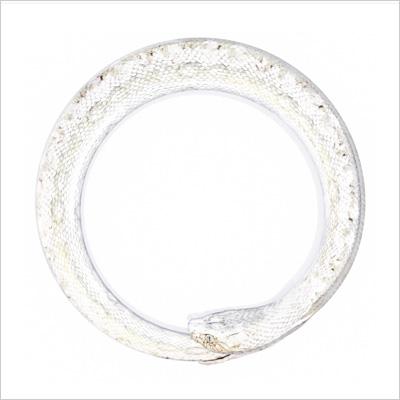 完全感覚Dreamer （+DVD） : ONE OK ROCK | HMV&BOOKS online - AZZB-2