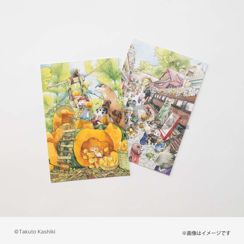 ポストカード2枚セット（9巻イラスト） / ハクメイとミコチ : 樫木祐人