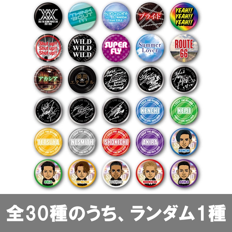 EXILE THE SECOND PERFECT LIVE 缶バッジ(全30種のうち、ランダム1種