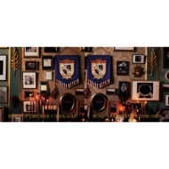 BUMP OF CHICKEN初のベストアルバム、2枚同時リリース!!｜HMV&BOOKS