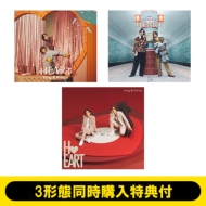 ドラマ「御曹司に恋はムズすぎる」Blu-ray＆DVD BOX 2025年9月12日(金