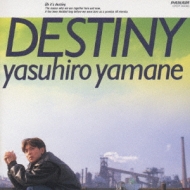 DESTINY : 山根康広 | HMV&BOOKS online - CRCP-20093