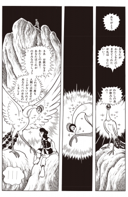 化粧箱入り】火の鳥全12巻セット 朝日コミックス : 手塚治虫