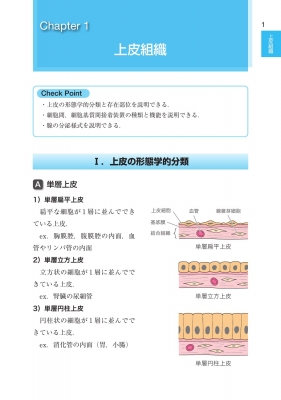 歯科国試パーフェクトマスター 口腔組織・発生学 第2版 : 中村浩彰