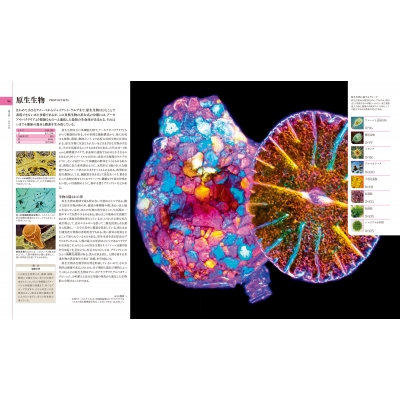 地球博物学大図鑑 新訂版 : スミソニアン協会 | HMV&BOOKS online