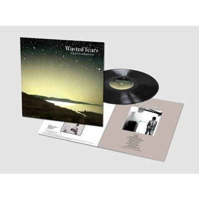 WASTED TEARS (アナログレコード) : 浜田省吾 | HMV&BOOKS online