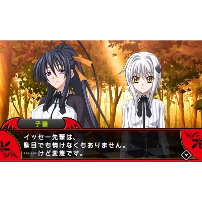 ハイスクールD×D（初回限定版） : Game Soft (Nintendo 3DS