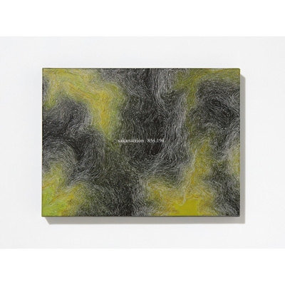 834.194 【完全生産限定盤B】(+DVD) : サカナクション | HMV&BOOKS