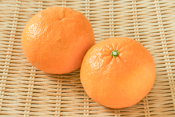 ネーブルオレンジ（72玉サイズ） 【業務用食材の仕入れなら八面六臂】