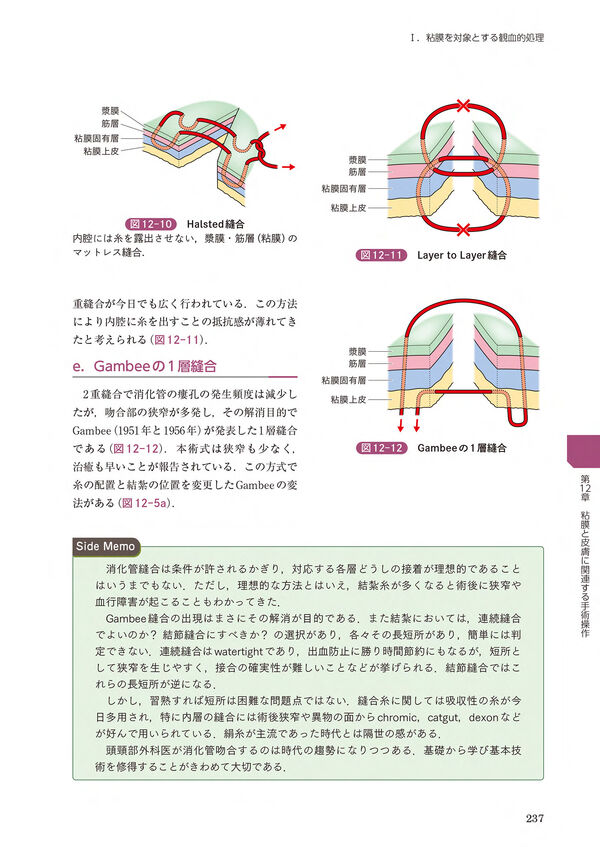 頭頸部外科診療に役立つ 頭頸部管腔構造の理解 西嶌 渡(著) - 南山堂